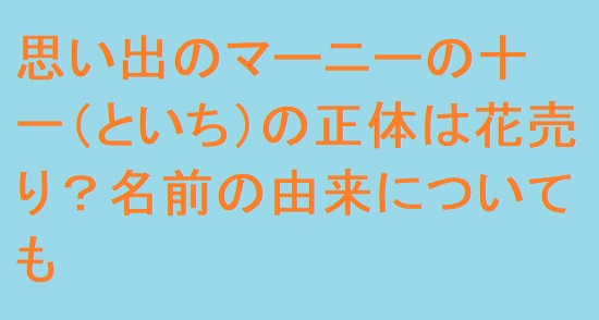 思い出のマーニーの十一 といち の正体は花売り 名前の由来についても 足長パパのブログ