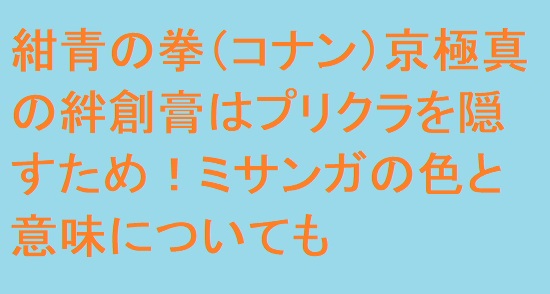 紺青の拳 コナン 京極真の絆創膏はプリクラを隠すため ミサンガの色と意味についても 足長パパのブログ